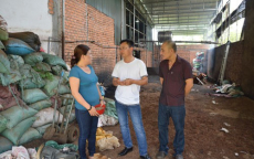 Kết luận điều tra vụ hồ tiêu trộn pin ở Đắk Nông