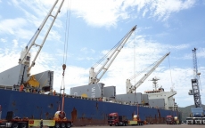 Thủ tướng chỉ đạo giải quyết việc Bình Định “đòi” lại cảng Quy Nhơn