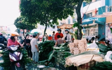Chợ lá dong Ông Tạ: Nhộn nhịp ngày cuối năm