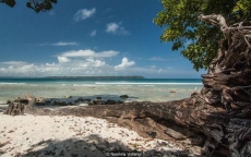 Bí mật kì lạ về hòn đảo nằm giữa Ấn Độ Dương