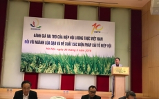 Cần xoá bỏ đặc quyền của Hiệp hội Lương thực Việt Nam (VFA)