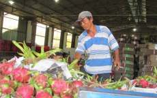 Trung Quốc 'siết' nhập khẩu trái cây từ Việt Nam