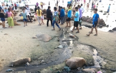 Biển Cổ Thạch, Bình Thuận: Oằn mình vì rác thải sau kì nghỉ lễ