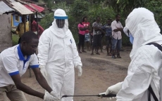 Không loại trừ trường hợp bệnh Ebola từ vùng có dịch vào Việt Nam