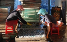 An toàn thực phẩm tại các làng nghề: Vẫn còn bỏ ngỏ