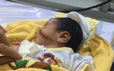 Truy tìm thân nhân bé trai sơ sinh bị chôn sống ở Bình Thuận