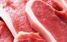 Mỗi tháng, Việt Nam nhập khẩu hơn 1.000 tấn thịt lợn từ Ba Lan