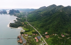 Vì sao đặc khu tại Việt Nam được cho thuê đất đến 99 năm?