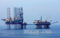 Vietsovpetro khó hoàn thành kế hoạch khai thác dầu thô