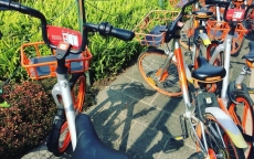 Mô hình “xe đạp tự thuê” phát triển rầm rộ tại Singapore.