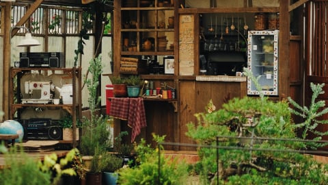 Từ căn nhà 'cũ' đến homestay - Hành trình kiến tạo một giấc mơ tại Ninh Thuận