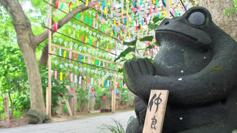 Ngôi chùa Ếch lạ lùng ở tỉnh Fukuoka