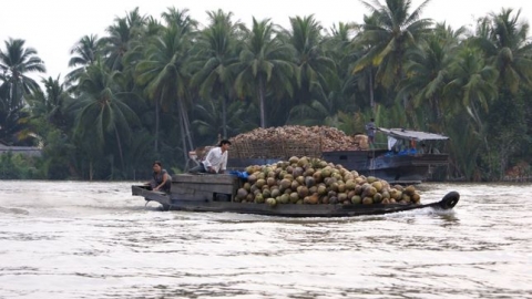  Về bến tre lênh đênh miền sông nước