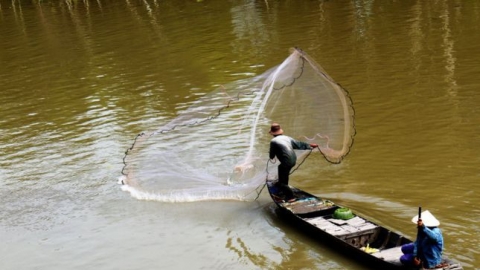 Du xuân miền sông nước Cửu Long