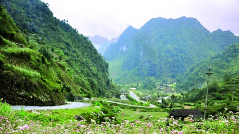 Hà Giang, muôn nẻo đường hoa 