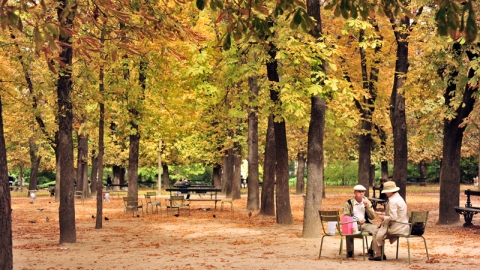 Paris - Bản tình ca muà thu của những đôi Uyên ương