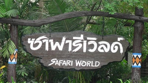 Dạo chơi Safari World - vườn thú nổi tiếng Thái Lan