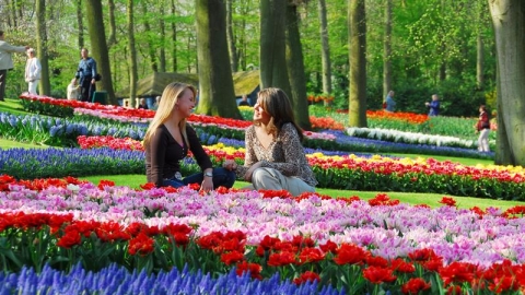 Van Gogh – nguồn cảm hứng 125 năm của Keukenhof 2015