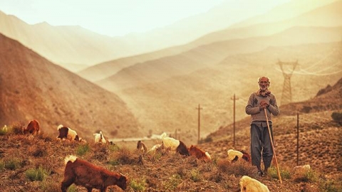 Vùng miền núi miền Nam, Iran