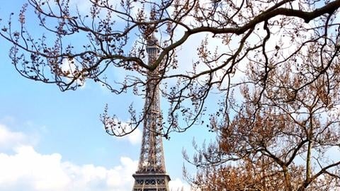 Mùa hè sôi động ở Paris