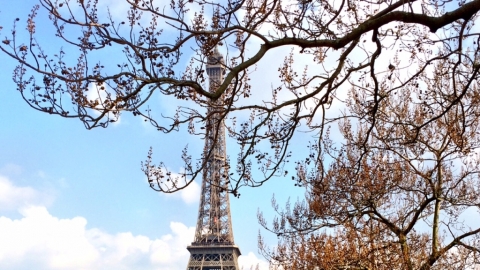 Mùa hè sôi động ở Paris