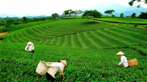 Lễ khai mạc Mùa du lịch Thái Nguyên năm 2018