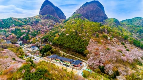 Tổng cục Du lịch Hàn Quốc tại Việt Nam phối hợp cùng tỉnh Jeollabuk-do xúc tiến giới thiệu du lịch tại Việt Nam