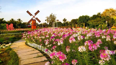 Tour du xuân cận Tết ngắn ngày, hút khách thư giãn cuối tuần