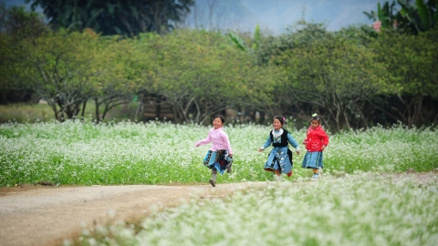 Rực rỡ sắc màu Tây Bắc vào xuân