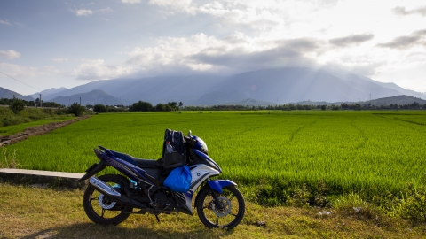 Hành trình Tết Tây Nguyên - Nam Trung Bộ