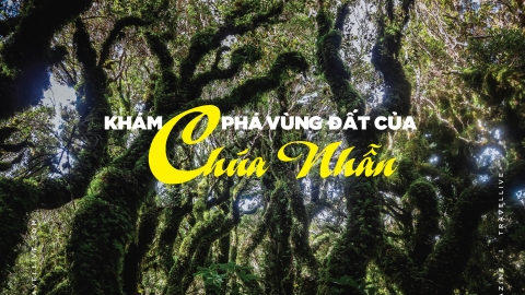 Khám phá vùng đất của Chúa Nhẫn