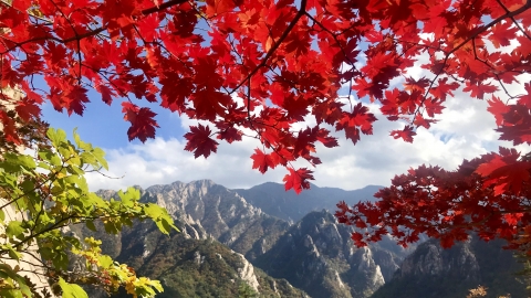 Hùng vĩ những dãy Alps châu Á