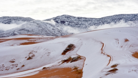 Tuyết phủ trắng vùng sa mạc Sahara