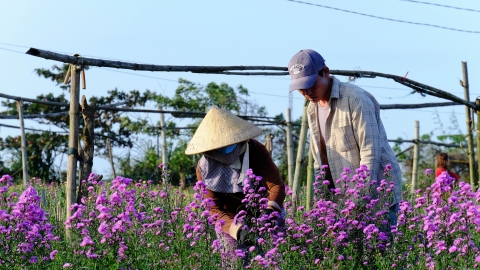 Huế vẫn rộn ràng trong từng góc phố