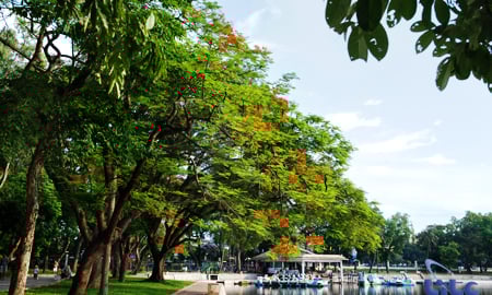 Công viên Thống Nhất dỡ hàng rào, không thu vé