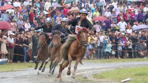 Độc đáo Lễ hội đua ngựa tại Festival cao nguyên trắng Bắc Hà