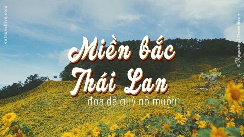 Miền bắc Thái Lan - đóa dã quỳ nở muộn