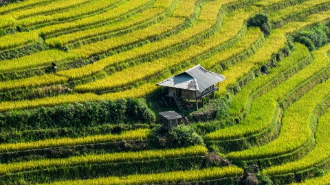 Lào Cai: 'Sắc Thu cao nguyên' đã sẵn sàng