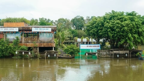 Mục sở thị thực cảnh bộ phim 'Đất rừng phương Nam' tại rừng tràm Trà Sư