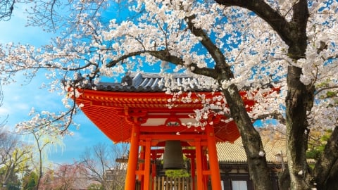 Nhật Bản triển khai áp dụng thuế lưu trú với khách du lịch trong mùa cao điểm