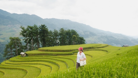 Trải nghiệm mùa vàng khó quên ở Mù Cang Chải