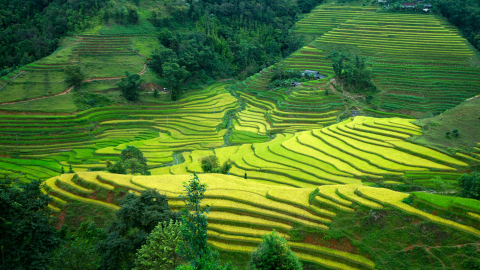 Hà Giang đón khách đông chưa từng thấy, nhiều khách sạn hết phòng