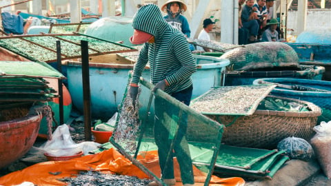 Chợ Nại Ninh Thuận, nét đẹp văn hóa khu chợ hải sản độc đáo