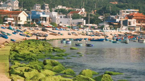 Giấc mơ yên ả nơi làng chài Nhơn Hải