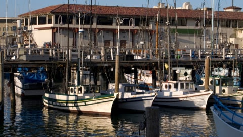 Trải nghiệm nhịp sống ven biển nước Mỹ tại Fisherman's Wharf