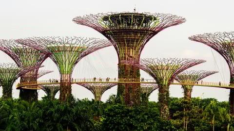 Những trải nghiệm không thể bỏ lỡ tại Singapore mùa hè này