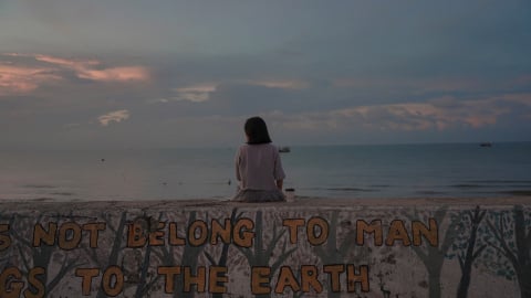 Đi tìm mùa hạ bình yên nơi làng chài Phước Hải