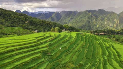 Tất tần tật về du lịch Pù Luông 2025: Ăn gì, chơi gì, ở đâu?