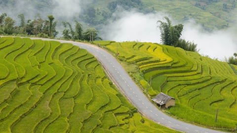 'Thưởng' Lào Cai mùa lúa chín