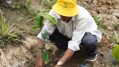 WildAct tặng giống cây ca cao, hỗ trợ người dân vùng đệm Vườn quốc gia Chư Yang Sin